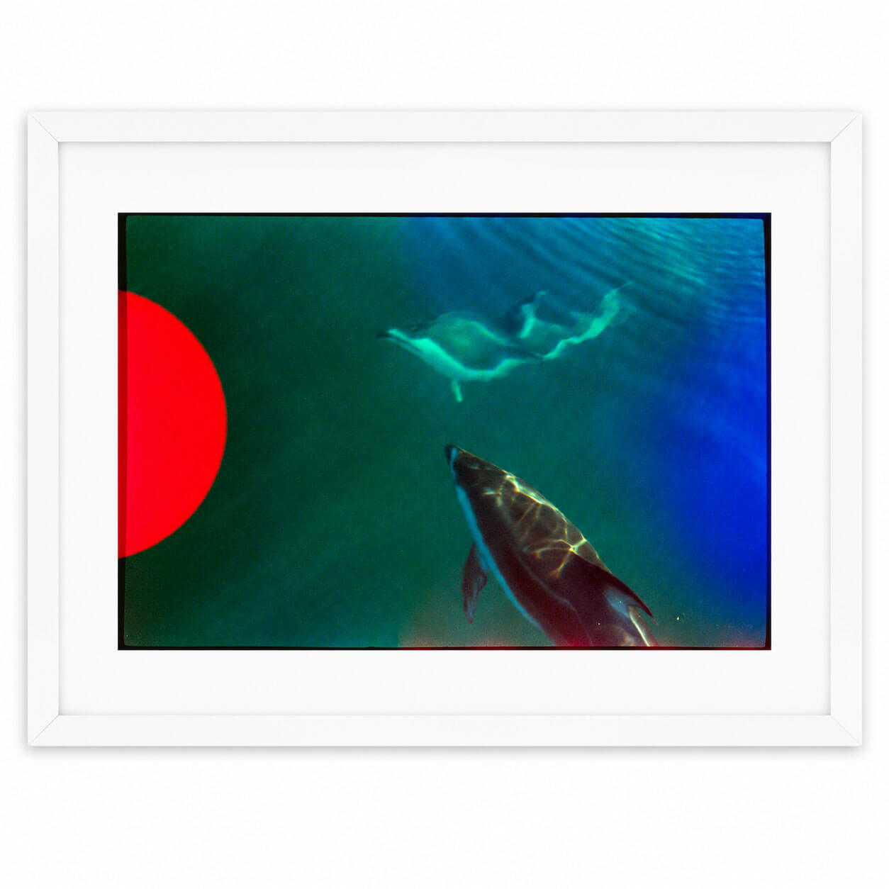 A framed art print featuring an underwater scene with a dolphin and a red sun on the left, set in a white frame against a white background.